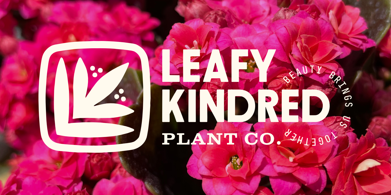 Leafy Kindred Plant Co. Identity